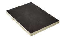 Film/Siebdruck Karosseriebauplatte Birke BFU 100 LxBxS: 2500 x 1500 x 9mm, verleimt