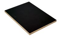 Film/Film-Platten durchgängig Pappel LxBxS: 2500 x 1250 x 21mm